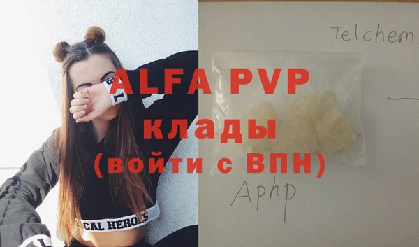 сатива Ростов