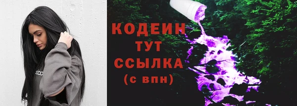 сатива Ростов