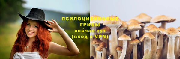 соль курить ск Протвино