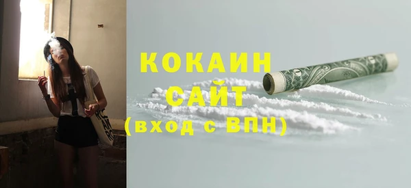 сатива Ростов