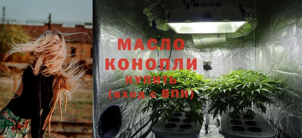 сатива Ростов
