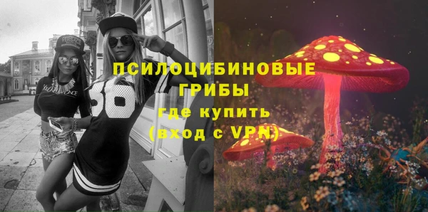 соль курить ск Рославль