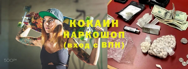 сатива Ростов