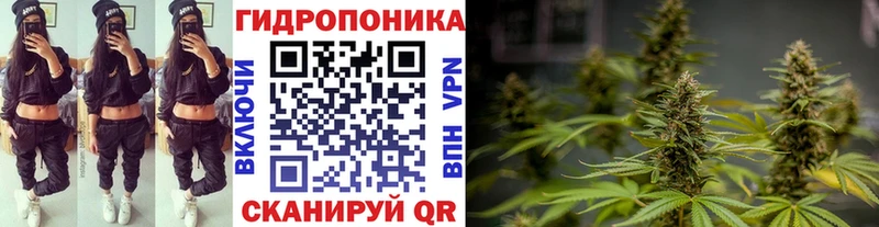 Шишки марихуана конопля  Куртамыш 